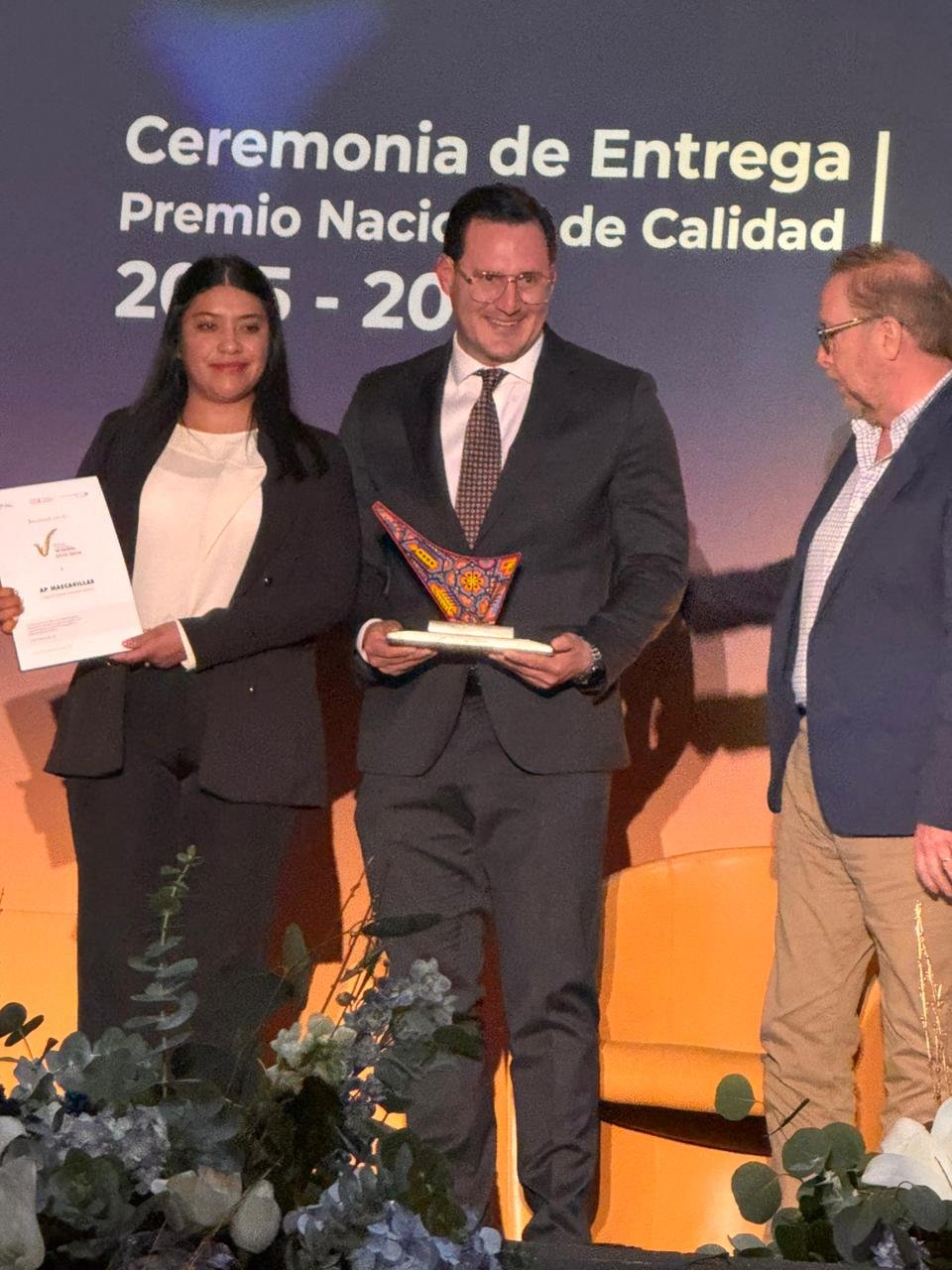 Imagen complementaria del artículo